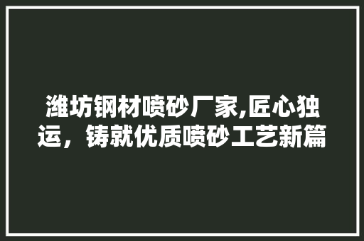 潍坊钢材喷砂厂家,匠心独运，铸就优质喷砂工艺新篇章