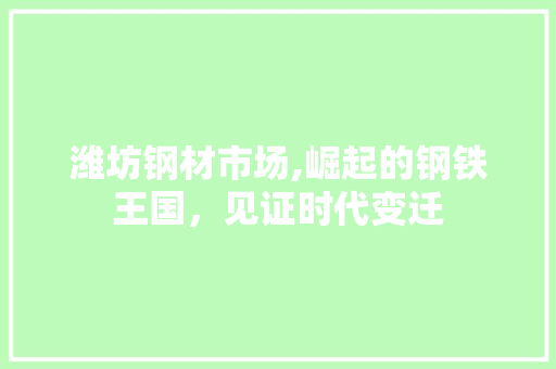 潍坊钢材市场,崛起的钢铁王国，见证时代变迁