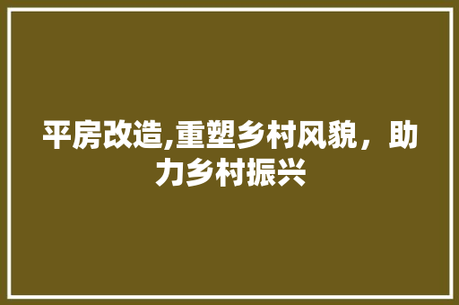 平房改造,重塑乡村风貌，助力乡村振兴