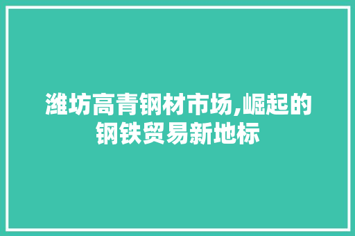 潍坊高青钢材市场,崛起的钢铁贸易新地标
