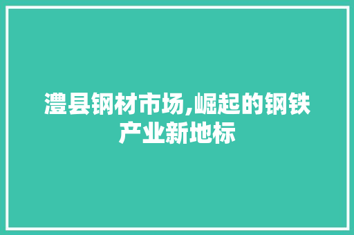 澧县钢材市场,崛起的钢铁产业新地标