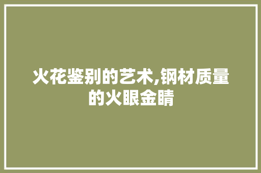 火花鉴别的艺术,钢材质量的火眼金睛
