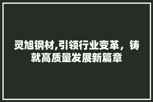 灵旭钢材,引领行业变革，铸就高质量发展新篇章