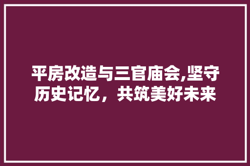 平房改造与三官庙会,坚守历史记忆，共筑美好未来