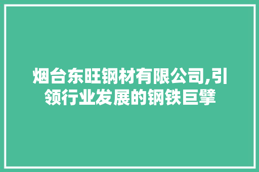 烟台东旺钢材有限公司,引领行业发展的钢铁巨擘 隔断设计