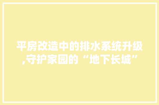 平房改造中的排水系统升级,守护家园的“地下长城”