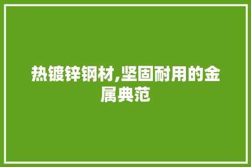 热镀锌钢材,坚固耐用的金属典范