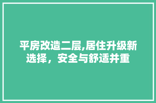平房改造二层,居住升级新选择，安全与舒适并重