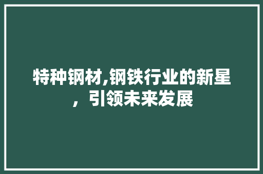 特种钢材,钢铁行业的新星，引领未来发展