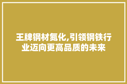 王牌钢材氮化,引领钢铁行业迈向更高品质的未来