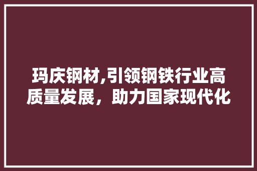 玛庆钢材,引领钢铁行业高质量发展，助力国家现代化建设