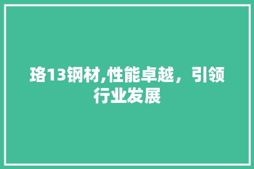 珞13钢材,性能卓越，引领行业发展