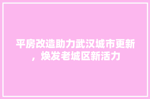 平房改造助力武汉城市更新，焕发老城区新活力