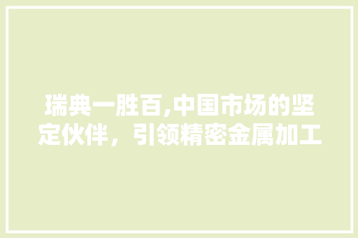 瑞典一胜百,中国市场的坚定伙伴，引领精密金属加工新潮流 地面装修
