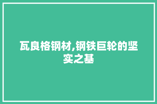 瓦良格钢材,钢铁巨轮的坚实之基