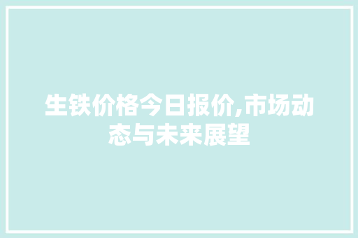 生铁价格今日报价,市场动态与未来展望