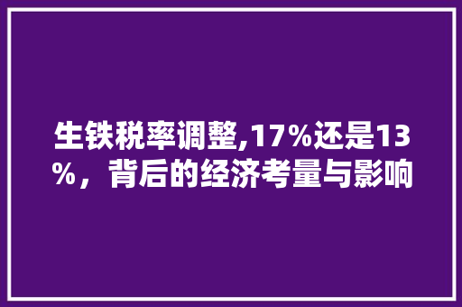 生铁税率调整,17%还是13%，背后的经济考量与影响