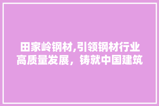 田家岭钢材,引领钢材行业高质量发展，铸就中国建筑钢铁新篇章