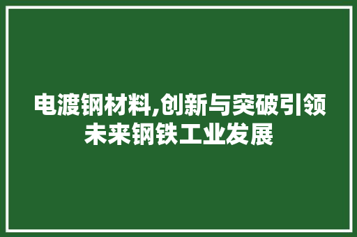 电渡钢材料,创新与突破引领未来钢铁工业发展