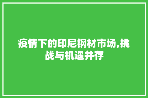 疫情下的印尼钢材市场,挑战与机遇并存