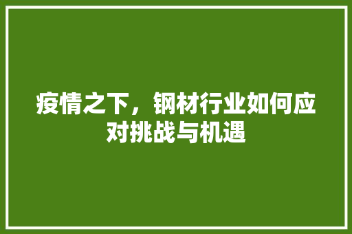 疫情之下，钢材行业如何应对挑战与机遇