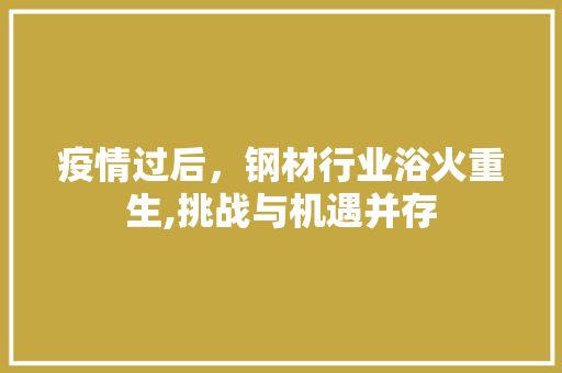 疫情过后，钢材行业浴火重生,挑战与机遇并存