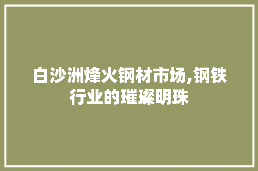 白沙洲烽火钢材市场,钢铁行业的璀璨明珠