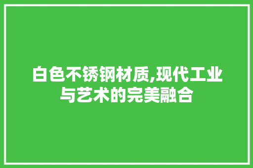 白色不锈钢材质,现代工业与艺术的完美融合
