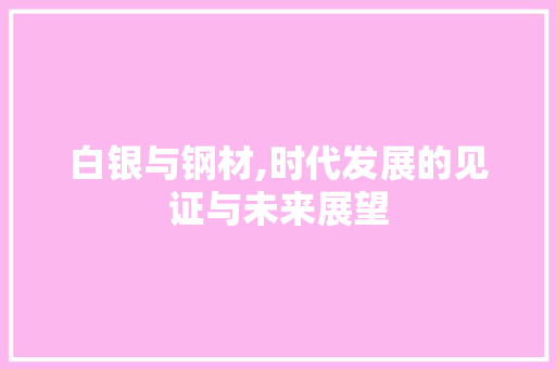 白银与钢材,时代发展的见证与未来展望