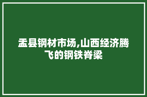 盂县钢材市场,山西经济腾飞的钢铁脊梁