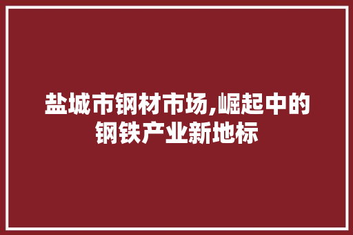 盐城市钢材市场,崛起中的钢铁产业新地标