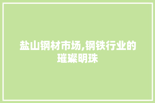 盐山钢材市场,钢铁行业的璀璨明珠