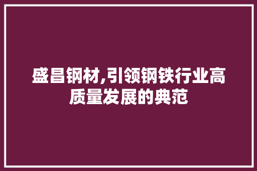 盛昌钢材,引领钢铁行业高质量发展的典范