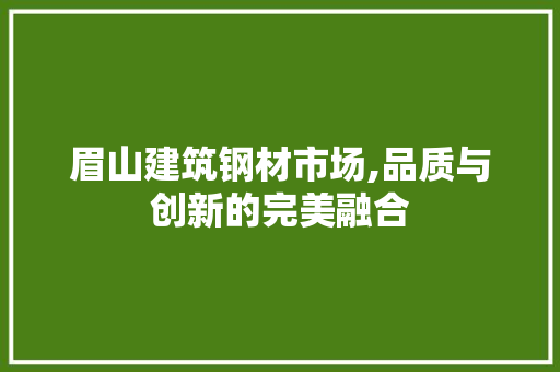 眉山建筑钢材市场,品质与创新的完美融合