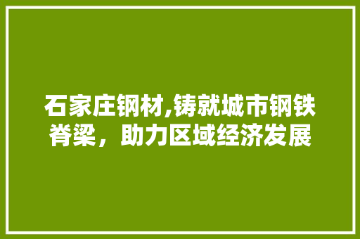 石家庄钢材,铸就城市钢铁脊梁，助力区域经济发展