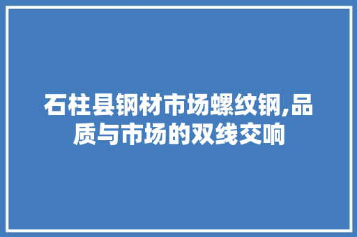 石柱县钢材市场螺纹钢,品质与市场的双线交响