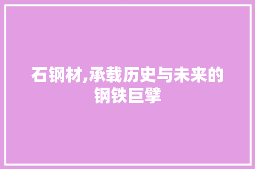 石钢材,承载历史与未来的钢铁巨擘