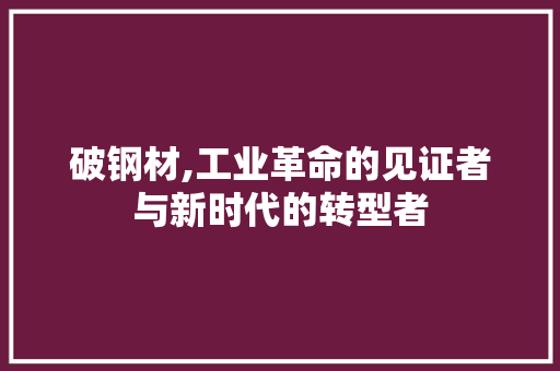 破钢材,工业革命的见证者与新时代的转型者