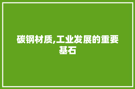 碳钢材质,工业发展的重要基石