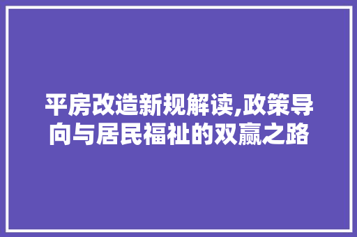 平房改造新规解读,政策导向与居民福祉的双赢之路