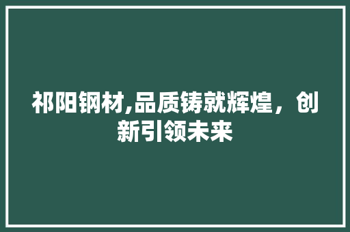祁阳钢材,品质铸就辉煌，创新引领未来