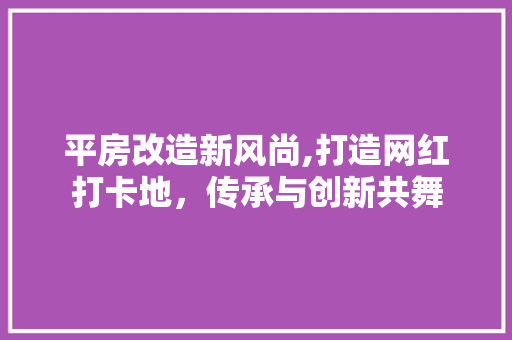平房改造新风尚,打造网红打卡地，传承与创新共舞