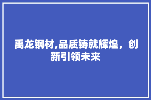 禹龙钢材,品质铸就辉煌，创新引领未来