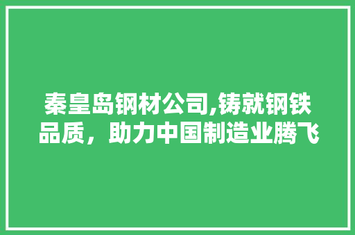 秦皇岛钢材公司,铸就钢铁品质，助力中国制造业腾飞