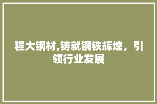 程大钢材,铸就钢铁辉煌，引领行业发展