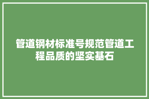 管道钢材标准号规范管道工程品质的坚实基石