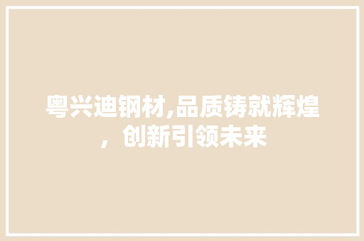 粤兴迪钢材,品质铸就辉煌，创新引领未来