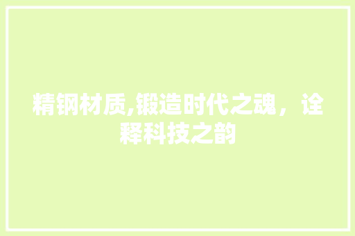 精钢材质,锻造时代之魂，诠释科技之韵