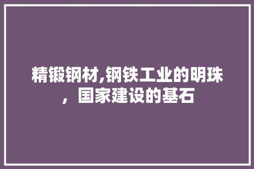 精锻钢材,钢铁工业的明珠，国家建设的基石