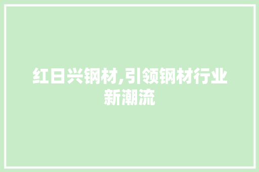 红日兴钢材,引领钢材行业新潮流